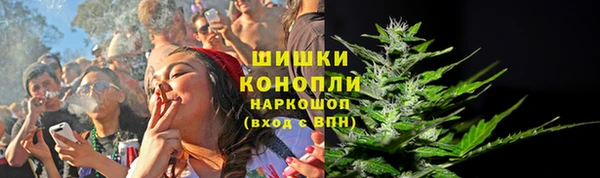 дурь Арсеньев