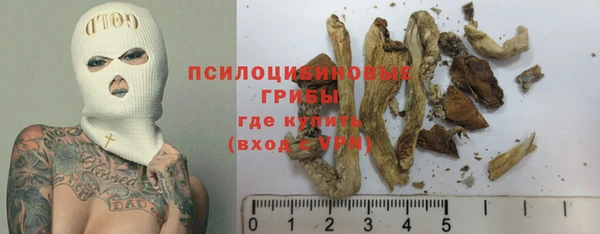 бошки Аркадак
