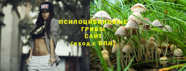 гидра Алексин