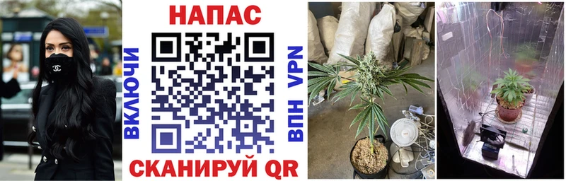 Купить  Узловая  Конопля VHQ 